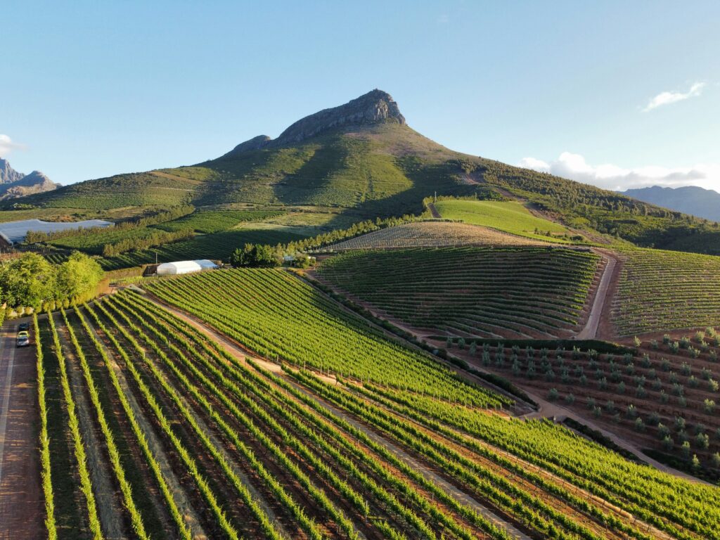 Stellenbosch Winelands