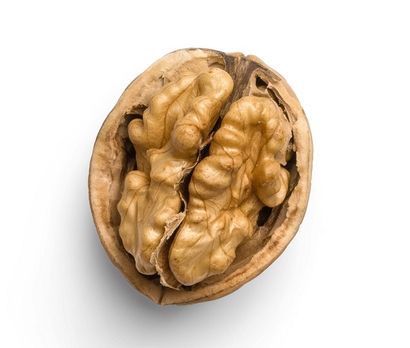 Health Benefits of Walnuts